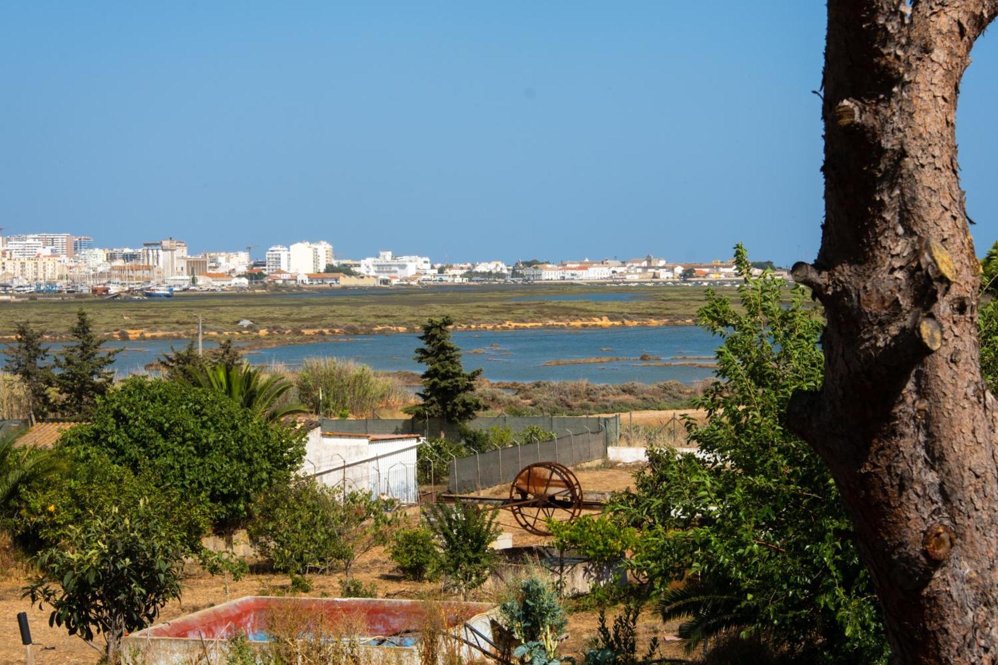 Ria Formosa Guest House Faro Exterior photo